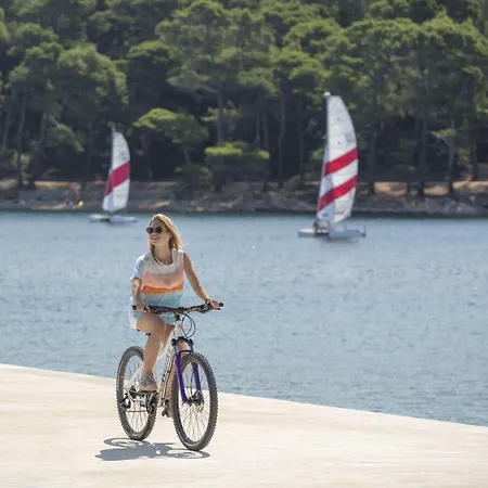 Boutique Alhambra 5* Мали-Лошинь